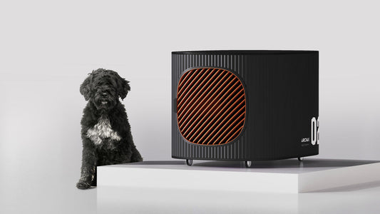 8 Tips For Taking The Perfect Photo Of Your Pet