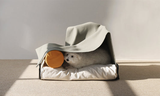 Shelter and feed animals that are in need